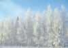 Gdzie jest minus 70?
