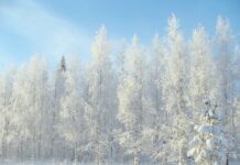 Gdzie jest minus 70?
