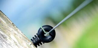 Ile polaków mieszka w Słowenii?