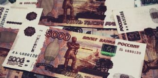 Ile kun za 1000 zł?